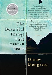 The Beautiful Things That Heaven Bears (Dinaw Mengestu)