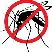 World Mosquito Day (Mosquito-Bound Disease - August 20)