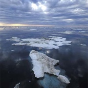 Beaufort Sea