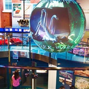 The Walt Disney Family Museum