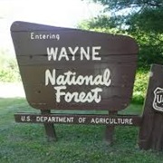 Wayne National Forest