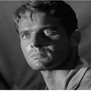 The Purple Testament