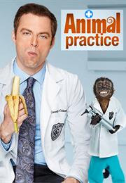 Animal Practise