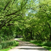 Wanata State Park, Iowa