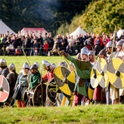 Battle of Hastings Reenactment