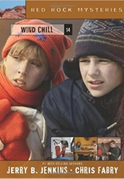 Wind Chill (Jerry B. Jenkins)