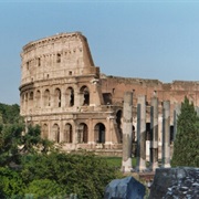 Wander Through the Colosseum