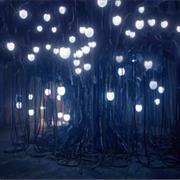 Journey to the Centre of the TARDIS