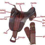 Saddle