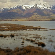 Prespa NP / Ohrid Lake, Greece/Macedonia/Albania