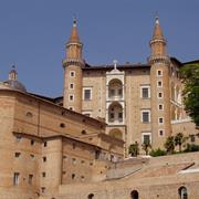 Urbino