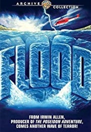 Flood (1976)