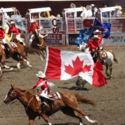 Going to the Calgary Stampede