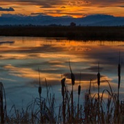 Ninepipe National Wildlife Refuge