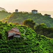 Le Colline Del Prosecco Di Conegliano E Valdobbiadene, Italy