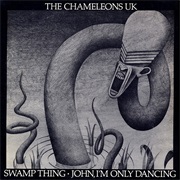 Swamp Thing - The Chameleons