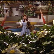 Toto, I Have a Feeling We Are Not in Kansas Anymore