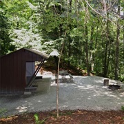 Gifford Woods State Park, Vermont