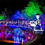 Stanley Park Christmas Train
