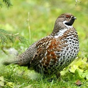 Zemaitija National Park, Lithuania