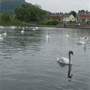 Walk in Waterworks Belfast