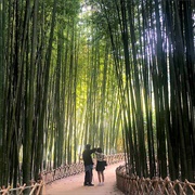Taehwanggang Park, Ulsan