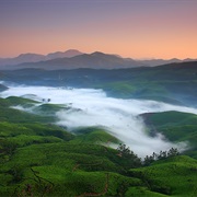Munnar, India