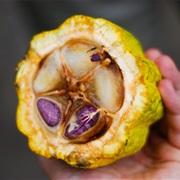 Cacao Fresco