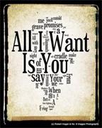 All I Want Is You