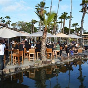 Pull Your Boat Up to Paradise Point Dock Bar