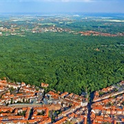 Eilenriede Forest, Hanover