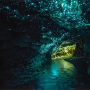 Explore the Glowworm Cave