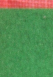 Firefly in a Fir Tree (Hilary Knight)