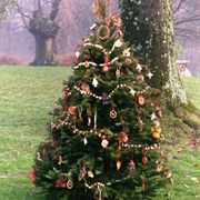 Christmas Tree for Animals