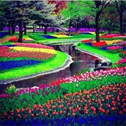 Keukenhof Gardens