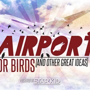 Airport for Birds