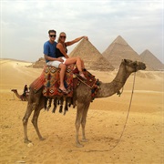Camel Riding in Egypt