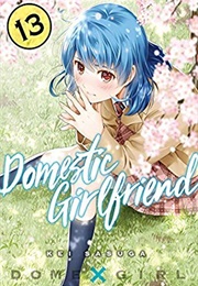 Domestic Girlfriend Vol. 13 (Kei Sasuga)