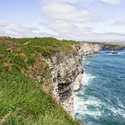 RSPB Scotland Fowlsheugh