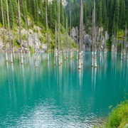 The Sunken Forest of Lake Kaindy, Kazakhstan