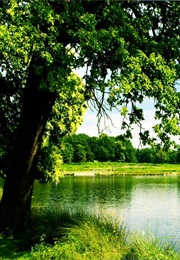 Reflections (Salesians of Don Bosco)