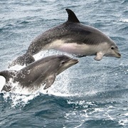 The Isle of Skye & the Small Isles, Scotland