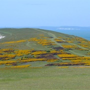 The Needles Headland and Tennyson Down, Isle of Wight