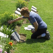 Death of a Partner/Spouse