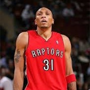 Shawn Marion