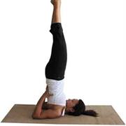 Shoulder Stand