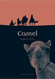 Camel (Robert Irwin)