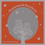 Papir Meets Electric Moon - The Papermoon Sessions