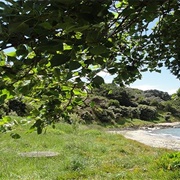Te Wharau/ Malua Bay