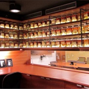 Cushing Brain Collection